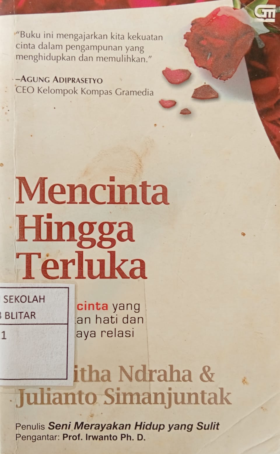Mencinta Hingga Terluka