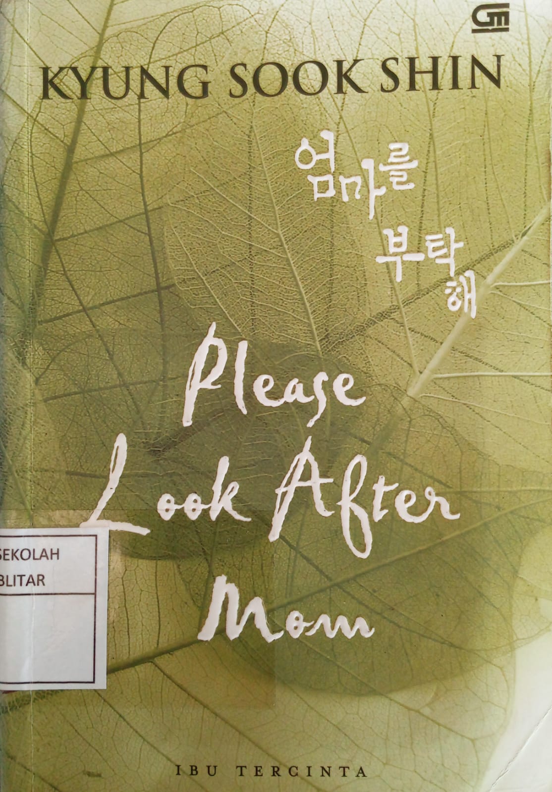 Please  Look After Mom